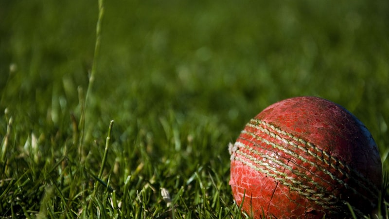 世界杯球迷在体育场看台欢呼庆祝